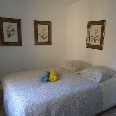 Beautiful And Spacious Contemporary House