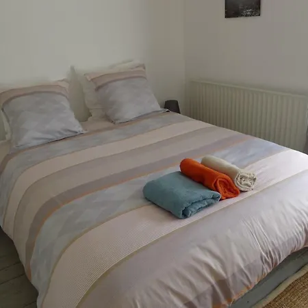 Beautiful And Spacious Contemporary House *